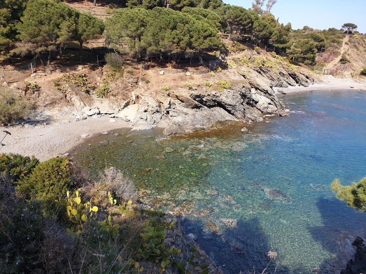 Mas Del Roumany Villa Port Vendres Buitenkant foto
