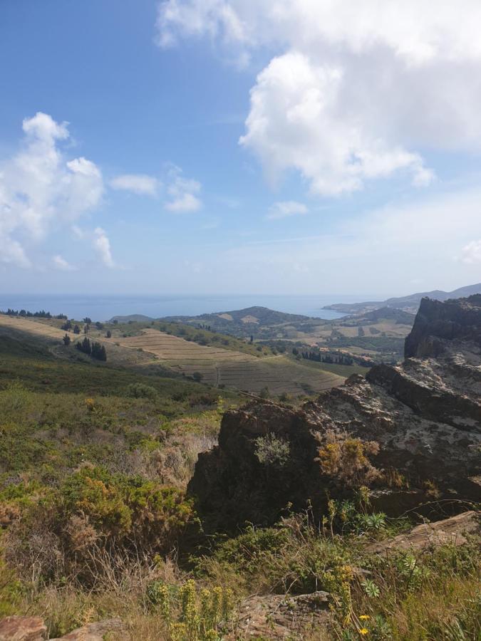 Mas Del Roumany Villa Port Vendres Buitenkant foto