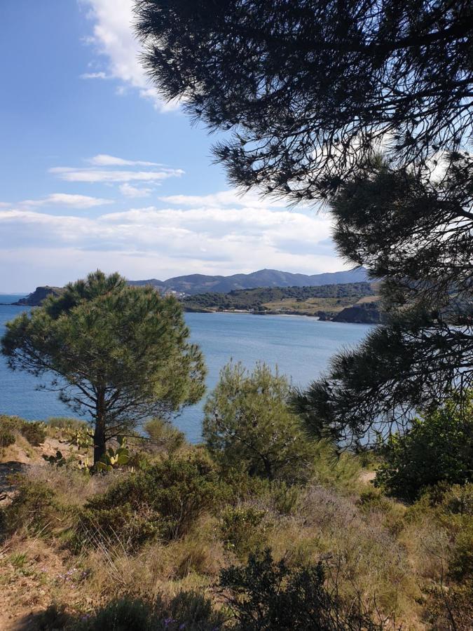 Mas Del Roumany Villa Port Vendres Buitenkant foto