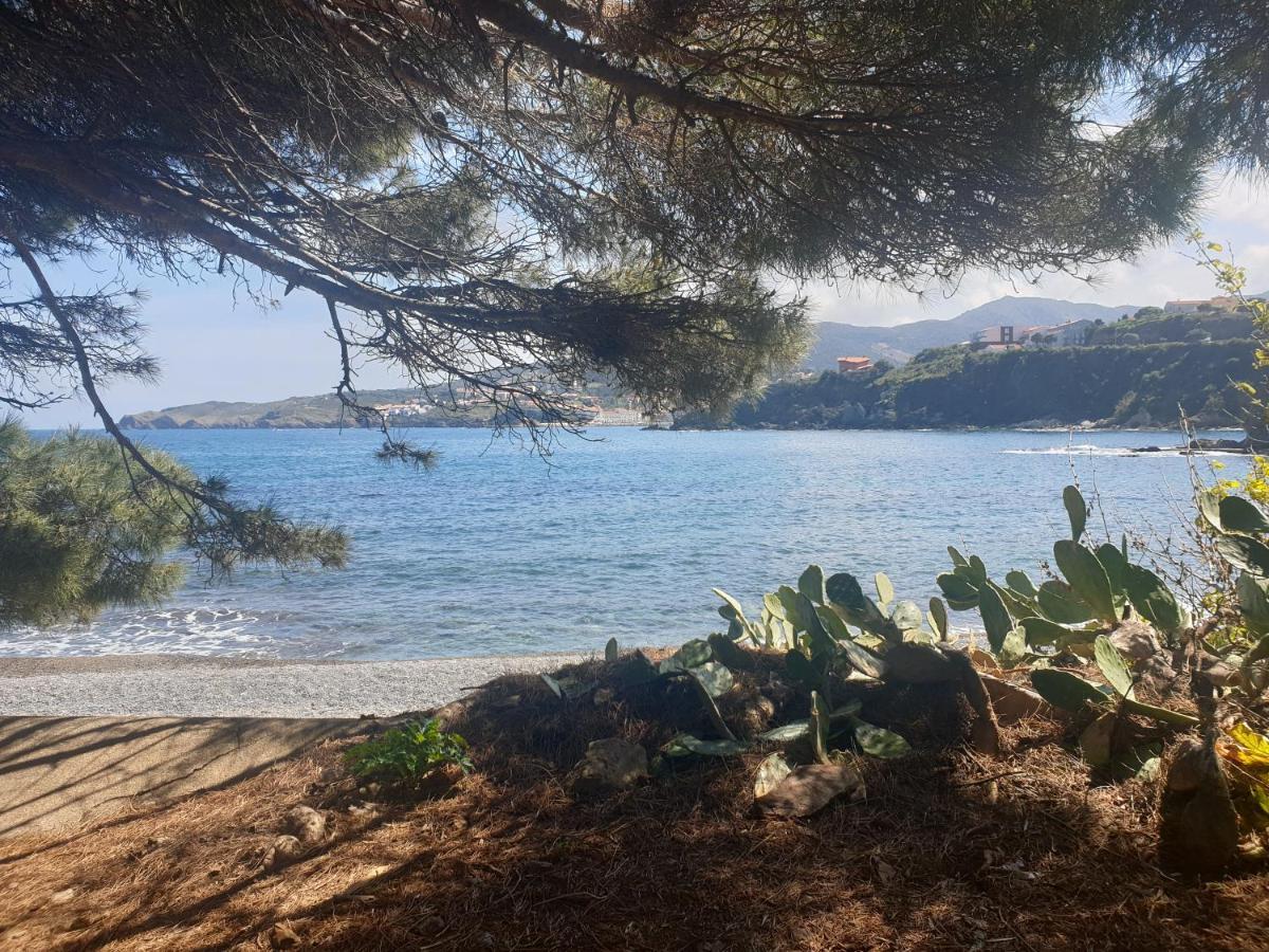 Mas Del Roumany Villa Port Vendres Buitenkant foto
