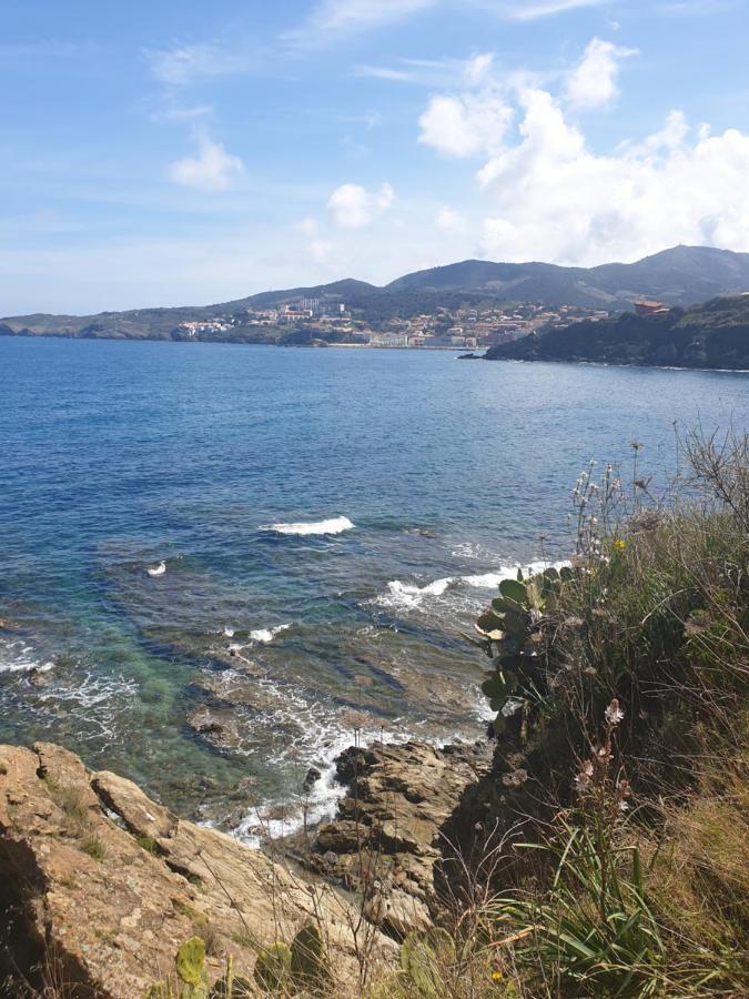 Mas Del Roumany Villa Port Vendres Buitenkant foto
