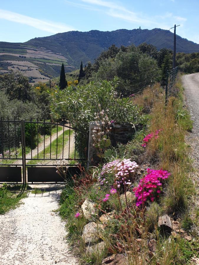 Mas Del Roumany Villa Port Vendres Buitenkant foto