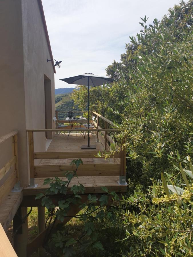 Mas Del Roumany Villa Port Vendres Buitenkant foto