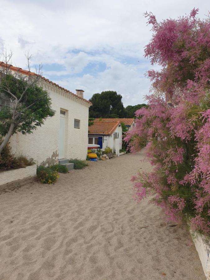Mas Del Roumany Villa Port Vendres Buitenkant foto