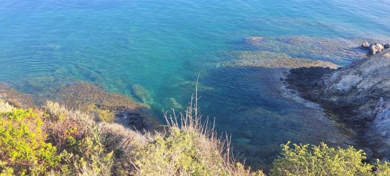 Mas Del Roumany Villa Port Vendres Buitenkant foto