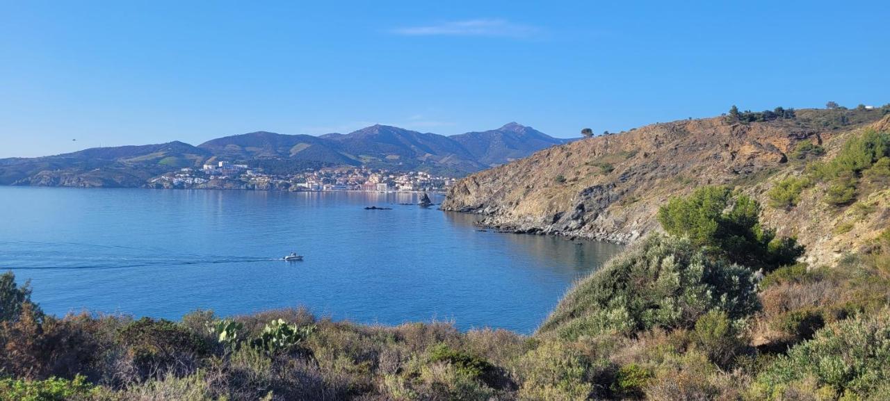 Mas Del Roumany Villa Port Vendres Buitenkant foto